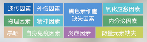 白斑.jpg